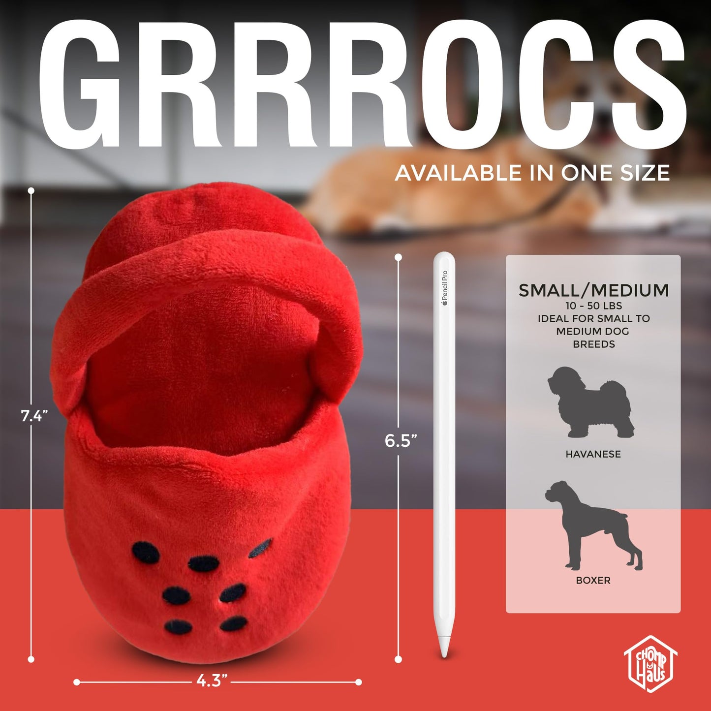 Chomp Haus Grrrocs – Luxurious Plush Dog Toy with Squeaker, Premium Fabric, Embroidered Details, Designer-Inspired Chew Toy, Fun Gift for Small to Medium Dogs & Dog Lovers